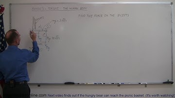 Physics   Mechanics  Torque 5 of 7 The Bicep