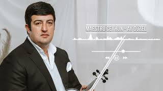 Maestro Ceyhun - Ay Gözel Resimi