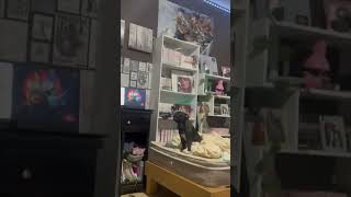 Playful Pug Dog Loves Doing High-Fives With Owner