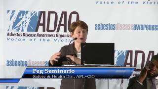 2017 ADAO AAPC: Peg Seminario: Worker Prevention Programs, Policy, and the Future.