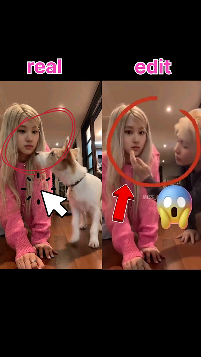 Rosé with her pet and  boy !! 😗 #blackpink #rosé #ytshorts #shorts
