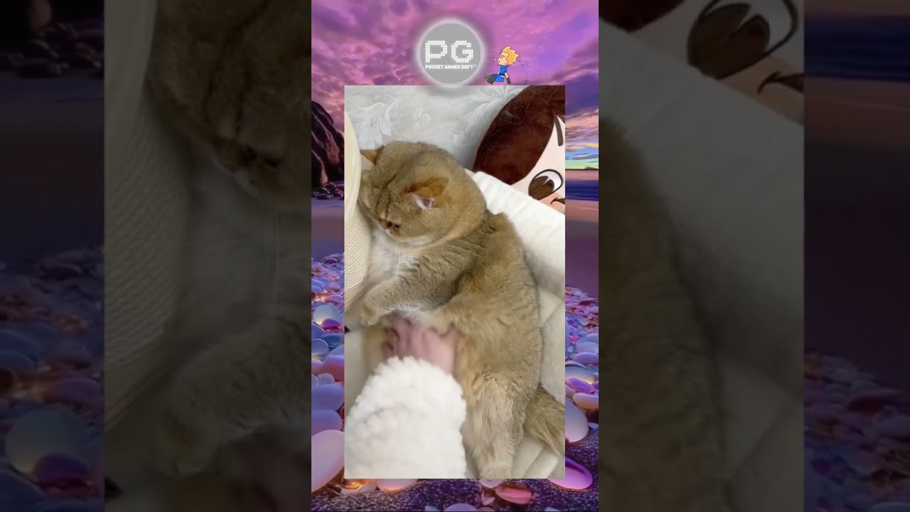 go 99🌘Hưng Yên🤞Tải xuống 🐱🐱 Conmèo Dễthương Thúcưng Phổbiến Xuhướng PG pgsoft ViệtNam Việtnamvideo fyp