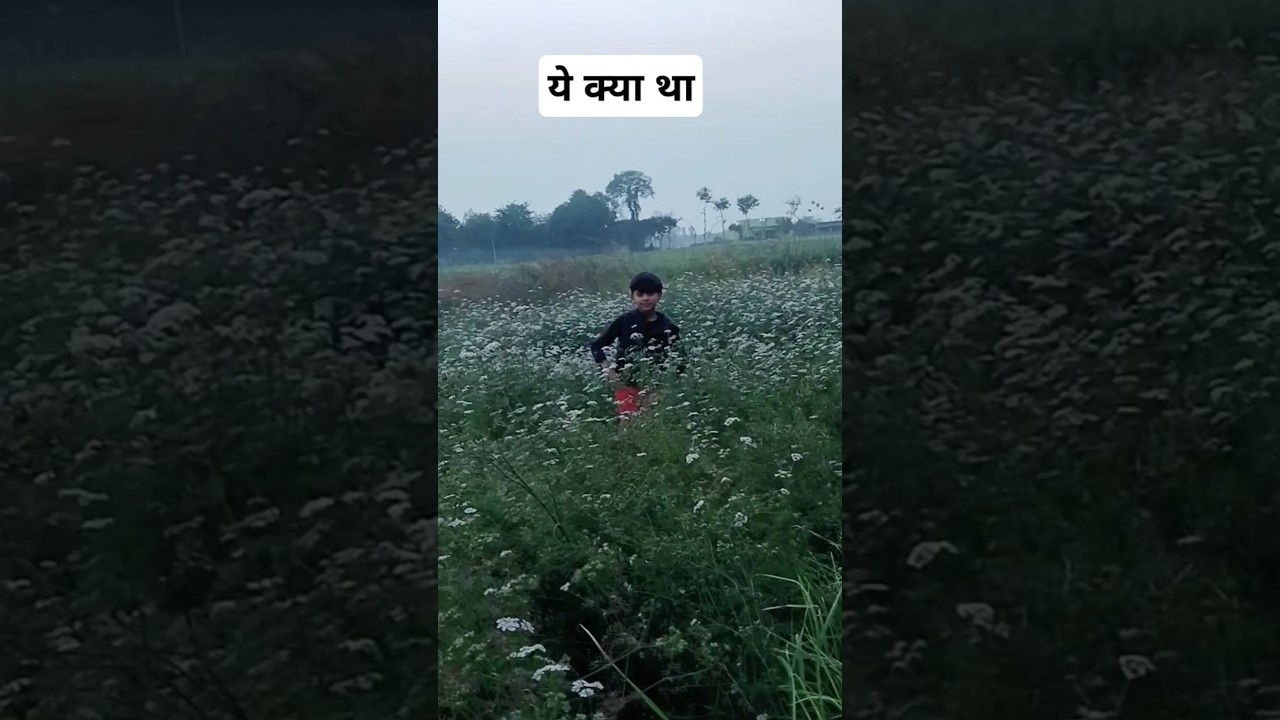 Jagin hain 🥳💞✨