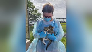 Yellowstone Valley Animal Shelter staff frustrated after exposure from FBI meth incineration mishap