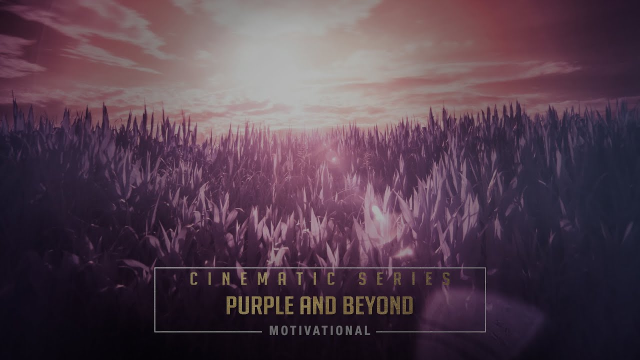 Фиолетовый и не только - Ender Güney (Официальное аудио)