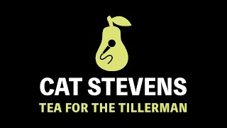 Cat Stevens - Tea for the Tillerman (Karaoke)
