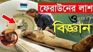 ফেরাউনের লাশ  3500 বছর ধরে না পচার রহস্য ! বিজ্ঞানিরা অবাক  ferawoner las #short