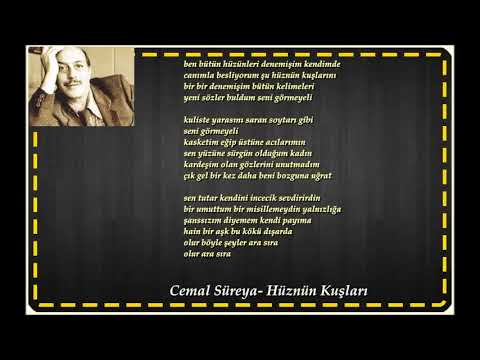 Cemal Süreya / Hüznün Kuşları