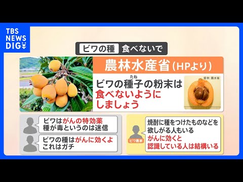 食べるとガンに効果ある”！？ SNSで拡散の「ビワの種」 農水省は注意