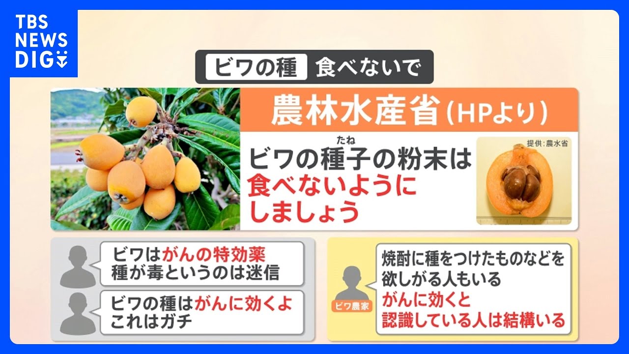 食べるとガンに効果ある”！？ SNSで拡散の「ビワの種」 農水省は注意