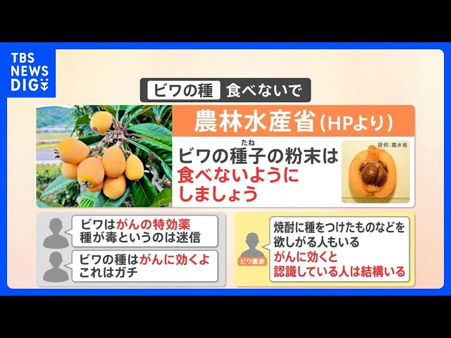 食べるとガンに効果ある”！？ SNSで拡散の「ビワの種」 農水省は注意