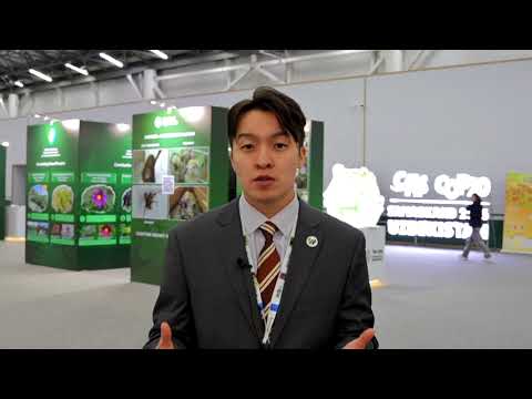 CITES CoP20 | Allowing International Trade in Saiga Horn