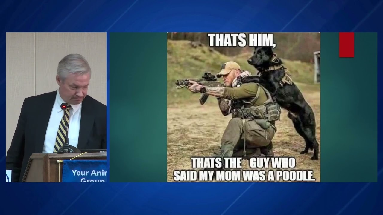 NAIA 2022 Conference: Kelly Sloan