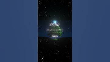 سورة الفاتحة|2-7|القارئ:#محمد_اللحيدان #قران #quran #راحة_نفسية #قران_كريم #تلاوة_هادئة #تلاوة_خاشعة