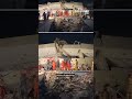 Venezuela earthquakes: on the ground at the heart of the disaster