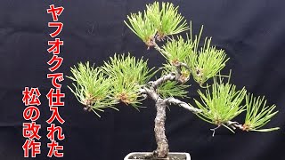 ヤフオクで購入した松の改作 - YouTube