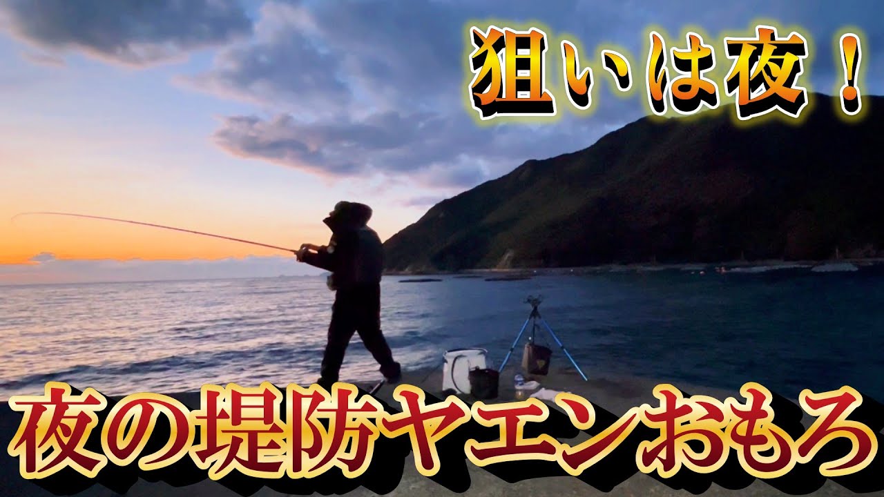 【ヤエン釣り】秋の夜長を楽しむ大人の流儀、堤防で秋イカとひたすら戯れる【アオリイカ】