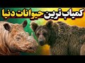 7 حیوان عجیب و فوق العاده کمیاب که در حال ناپدید شدن اند آخرین بازماندگان حیات وحش 7 حیوان عجیب و فوق العاده کمیاب که در حال ناپدید شدن اند آخرین بازماندگان حیات وحش