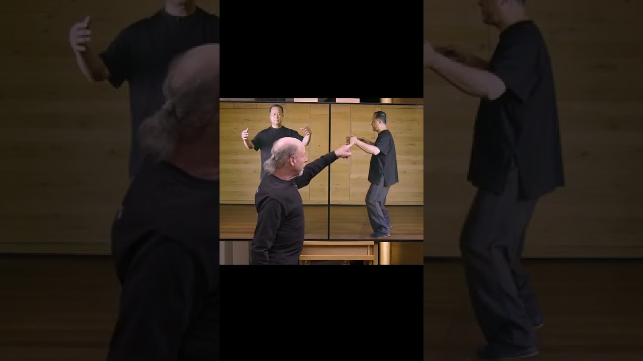Examining standing meditation, or zhan zhuang from the side | Tai Chi and Qigong for beginners