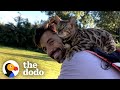 Cat insists on jumping onto her dads shoulders for bike rides  the dodo soulmates
