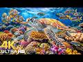 Amazing 4K Ocean Adventure 🐳 Dive Deep and Marvel at Sea Animal in The Best 4K ULTRA HD Aquarium