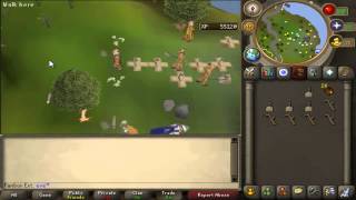 Soulsplit | 1-99 Hunter Guide [HD]