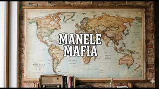 IG MOLLY -ACOMPANIERE "LĂUTARUL ȘI PRINȚESA" #manele #top #manelenoi #remix 