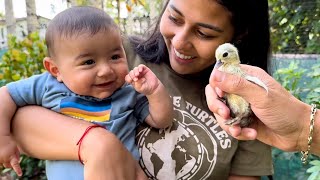 MY BABY Found Littlest DUCKS In The AVIARY!