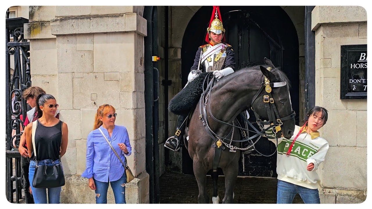 ОРМОНД, быстро ЗАКРОЙТЕ этого ухмыляющегося китайского туриста!