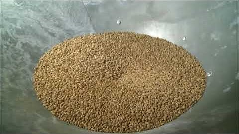 ITN visit the millers at Brixton Windmill