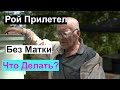 Пасека#135 Рой Прилетел Без Матки  Пчеловодство для начинающих