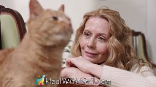 Natural Animal Healing - How it works