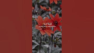 #قران_كريم #تلاوة_خاشعة لا اله إلا الله