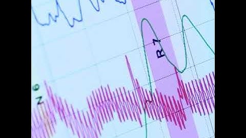 AYO AND TEO TAKE A LIE DETECTOR TEST