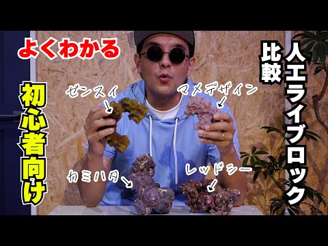 人工ライブロック　SHR27 アク抜き済み安心塗料使用 sddefault.jpg