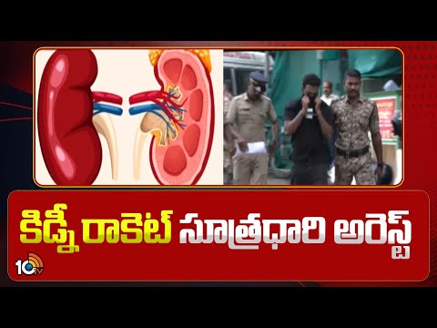 Kidney Rocket | Bellamkonda Ram Prasad Arrest | కిడ్నీ రాకెట్‌ సూత్రధారి అరెస్ట్‌ | 10TV - 10TVNEWSTELUGU