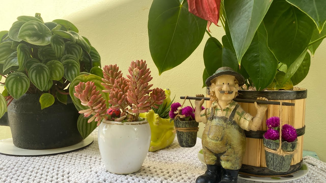 PROJETO CANTINHO ENCANTADOR 