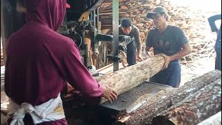 PROSES PENGGERGAJIAN KAYU PINUS⁉️PROSES PAPAN