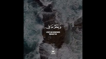 من سورة "الأنعام" || طارق محمد (قصير)