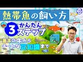 【初心者あつまれ！】熱帯魚の飼い方・簡単3ステップ！基本のキから豆知識あれこれ