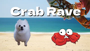 Crab Rave(Dog Cover)