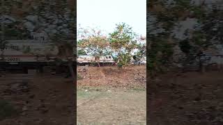 #13349, Dhanbad PATNA SINGRAULI Express tarin viral shorts video #dhanbadtrain,