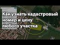 КАК УЗНАТЬ КАДАСТРОВЫЙ НОМЕР И СТОИМОСТЬ УЧАСТКА