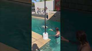 Precious Golden Retriever Jumps into Pool to Retrieve Toy