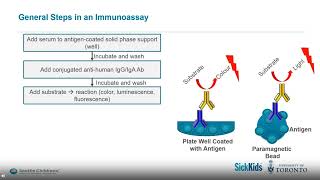 Advances in Celiac Disease Testing: From method validation to serological diagnosis