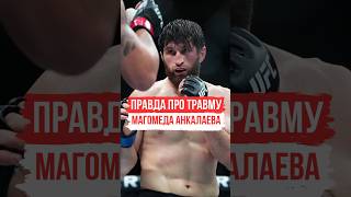 Магомед Анкалаев  - Реально был травмирован ❓️ | #анкалаев #мма #shorts