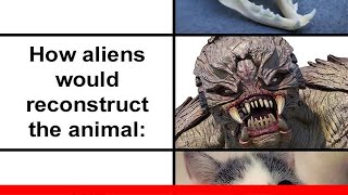 People Compare How Aliens Would Reconstruct Animals Based On Their Skulls Vs. What They Really 😂