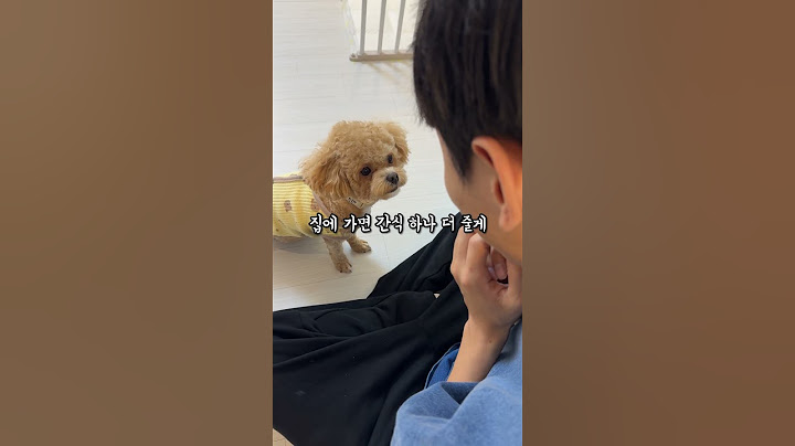 시각장애인 주인과 간식을 두고 협상하는 신기한 강아지