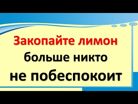 Закопайте один лимон подальше от дома, и больше вас никто не побеспокоит