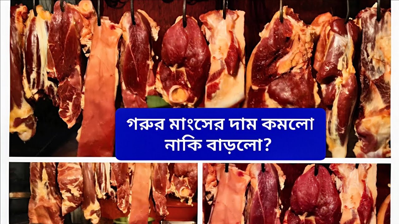 গাজীপুরে মাংসের বাজারে চমক! দাম বেড়েছে নাকি কমেছে? 
